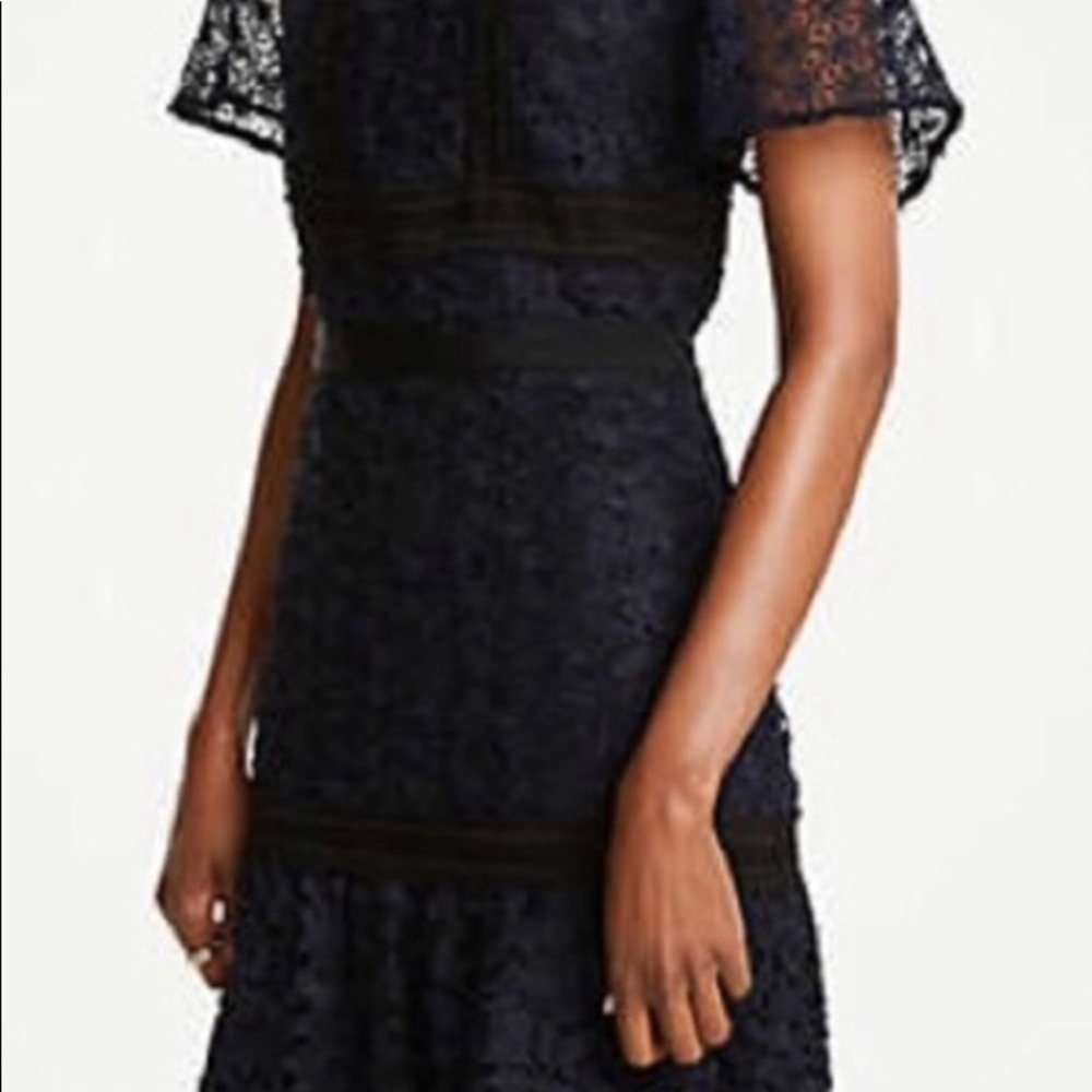 Anne Taylor dress